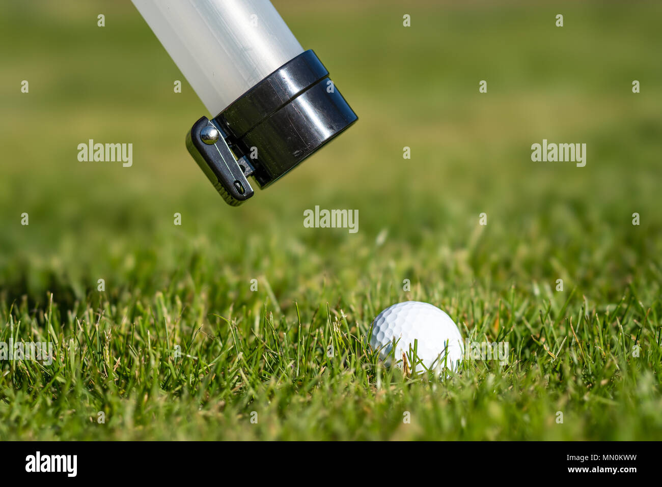 Ball tube picking up a golf ball Stock Photo