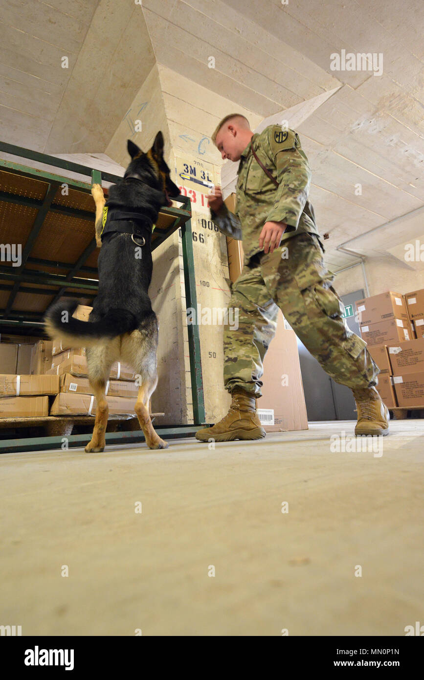 U.S. Army Pfc. Matthew Abkemeier, a military working dog handler with ...