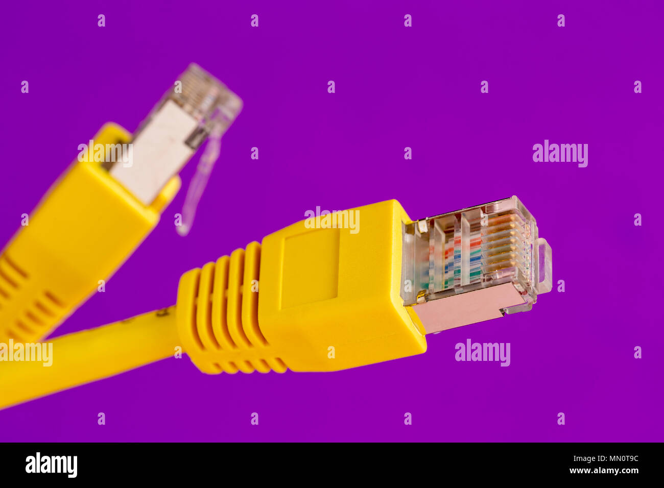 Two yellow ethernet connector on purple background Stock Photo