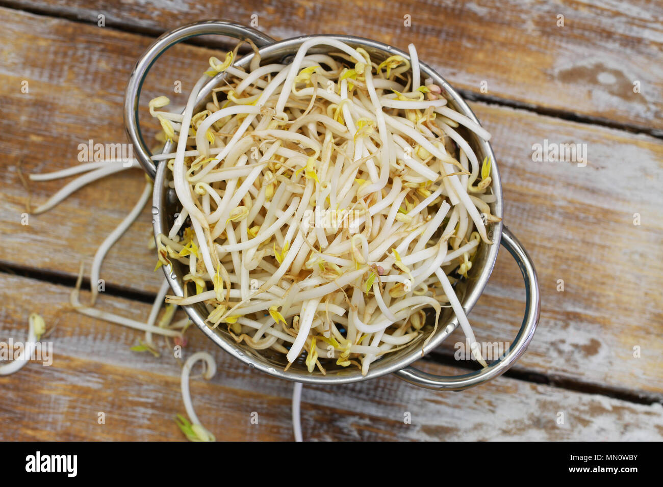 Raw beansprouts in colander on rustic wooden surface Stock Photo