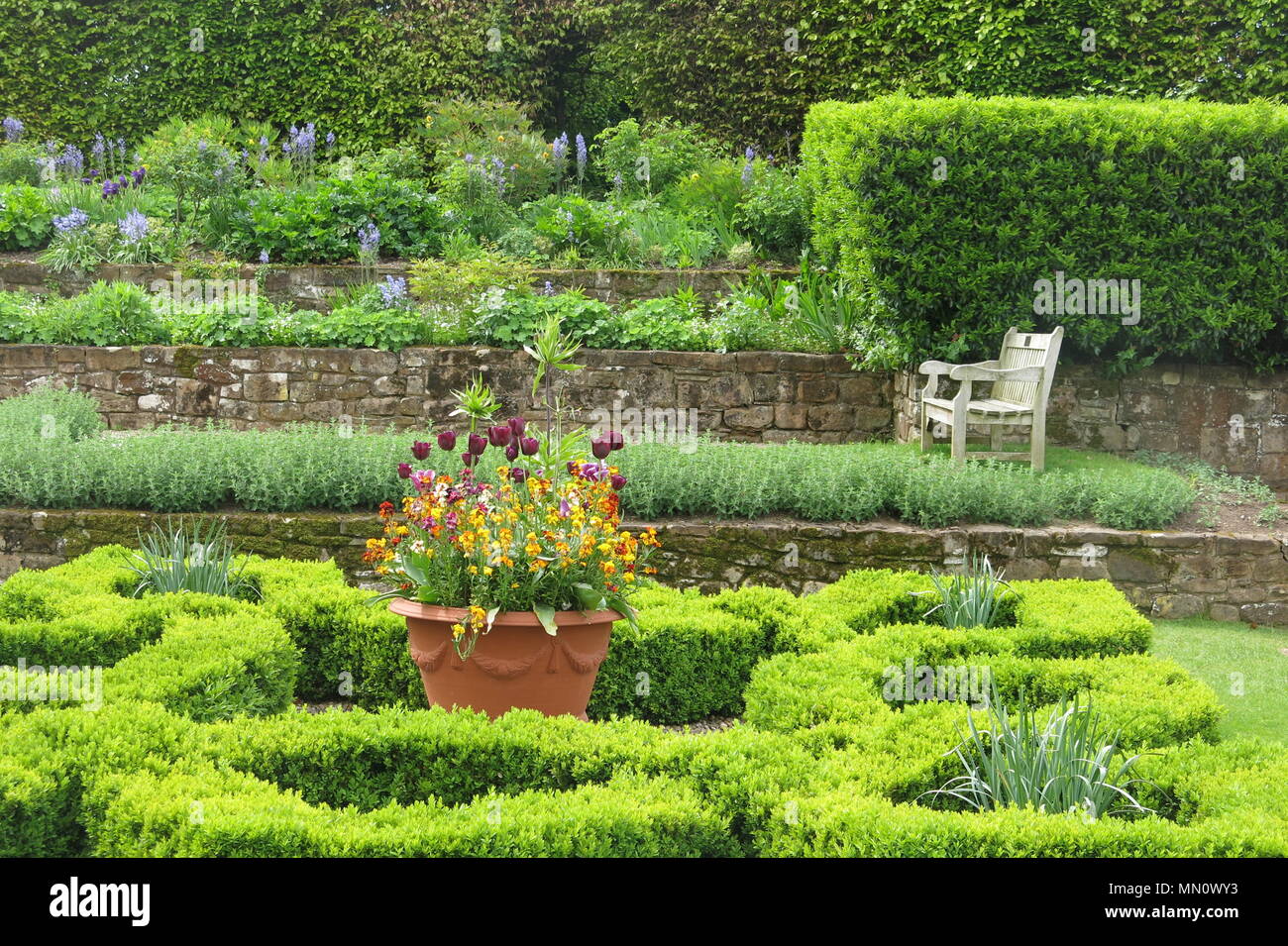 The beautifully laid out garden with planters of tulips and low