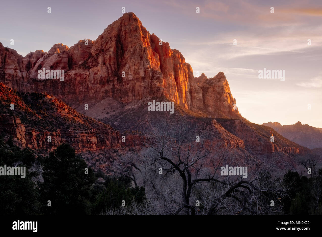 Zions National Park High Resolution Stock Photography and Images - Alamy