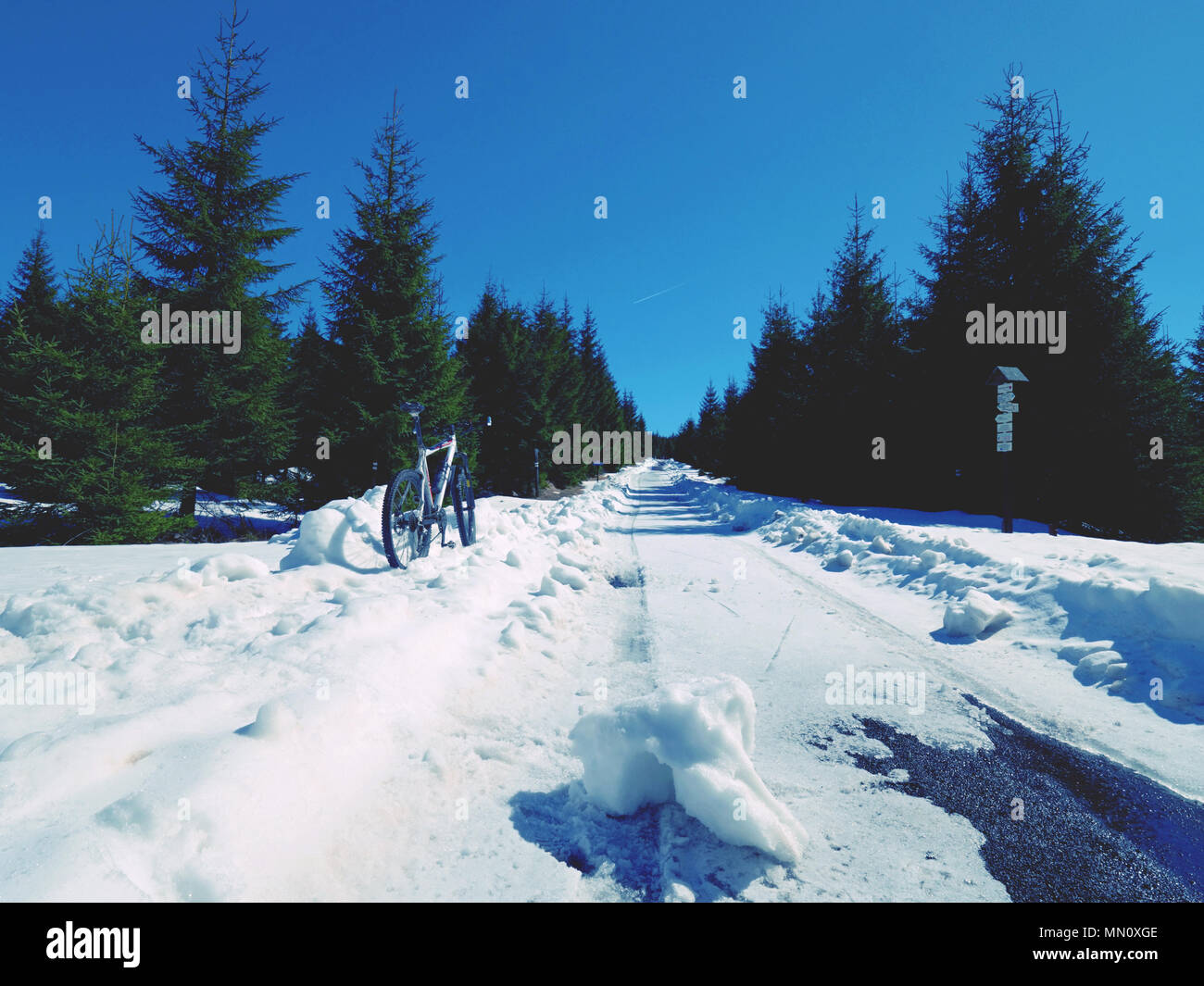 Mountain bike in snow. Cycling on large tire wheels in fresh snow. Cyclist goes on bike on the
