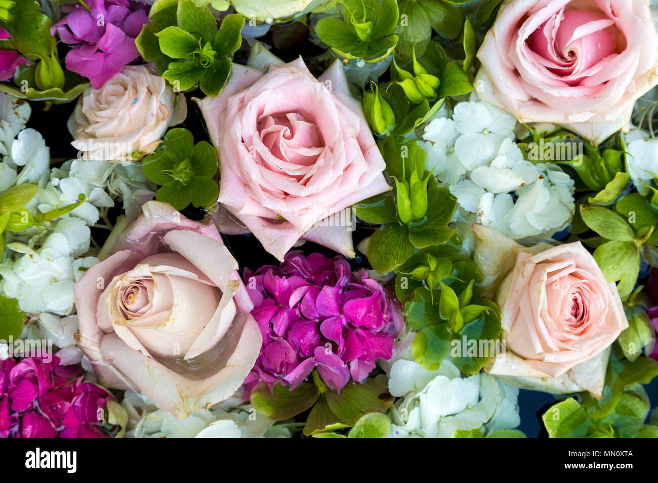 Background of light pastel flowers and roses in pink, white and green Stock Photo