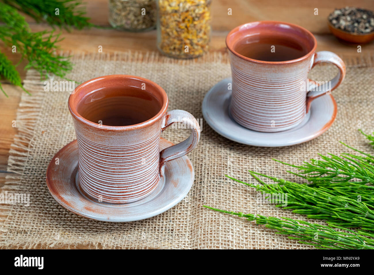 Two cups of horsetail tea with fresh Equisetum arvense plant on a table Stock Photo