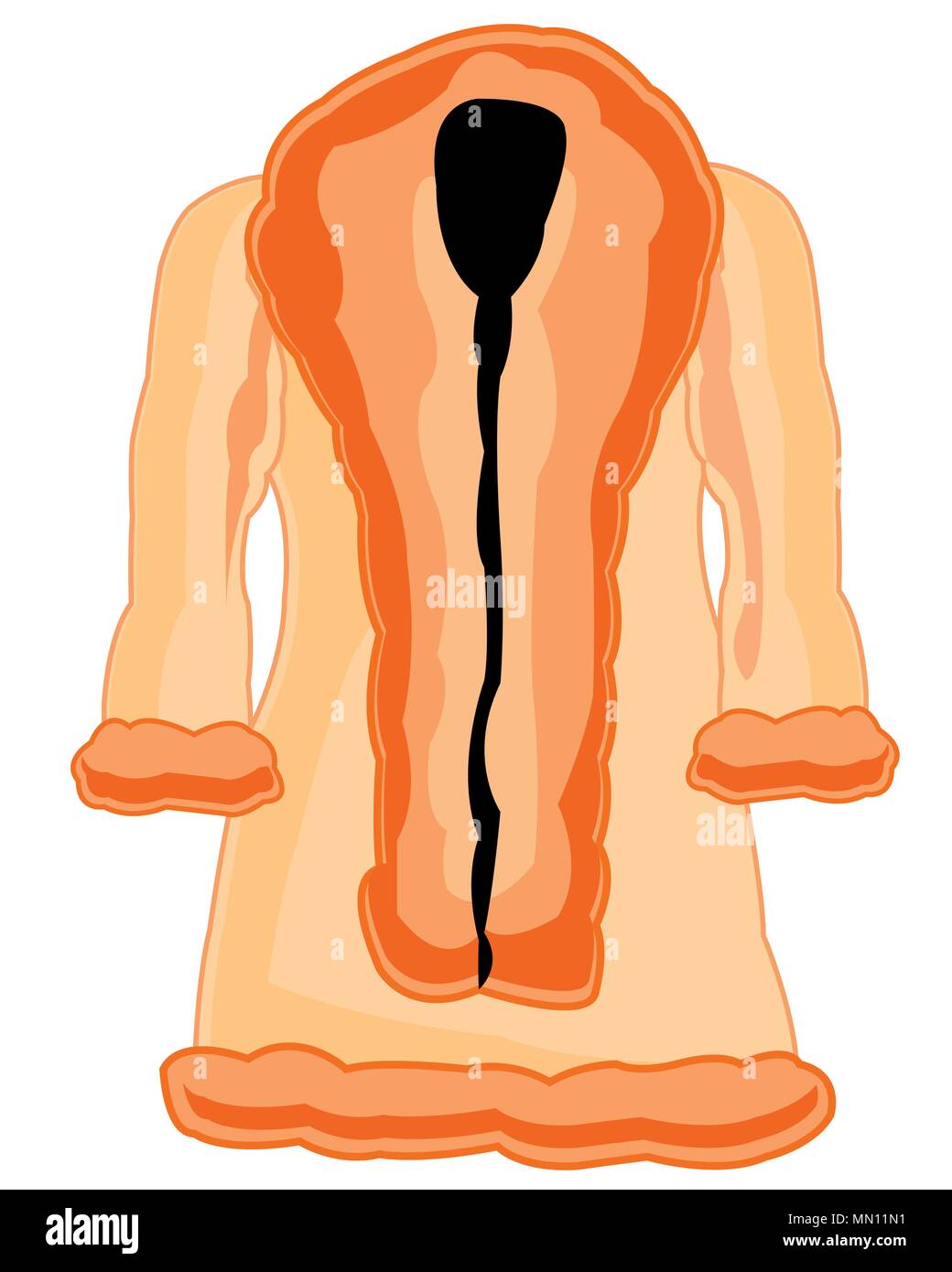 Winter feminine fur coat Stock Vector