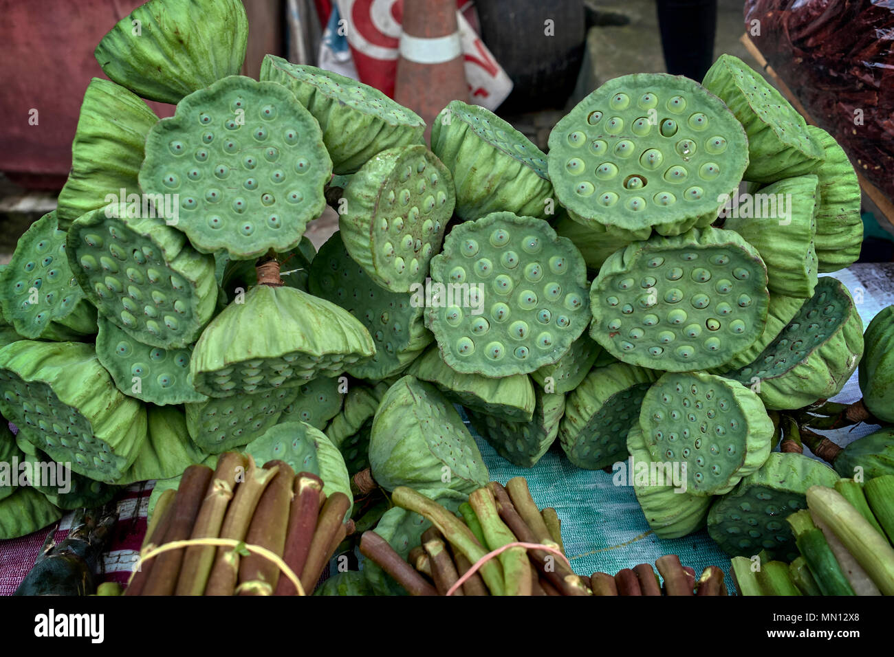 Lotus pod for sale as edible food on a Thailand street market stall Stock Photo