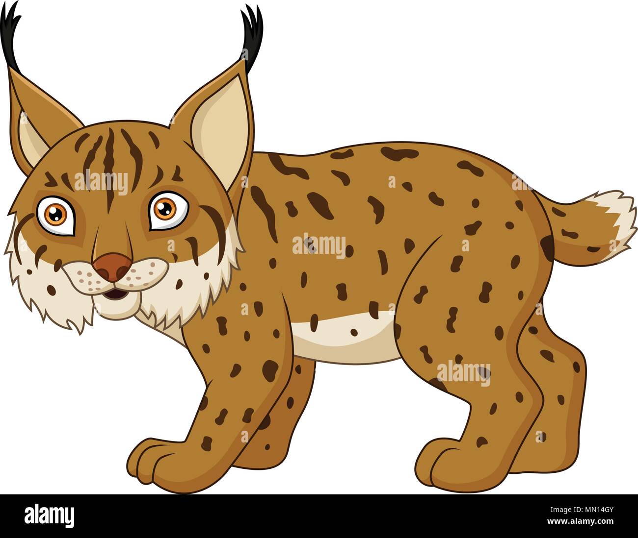 Cartoon lynx isolated on a white background Stock Vector