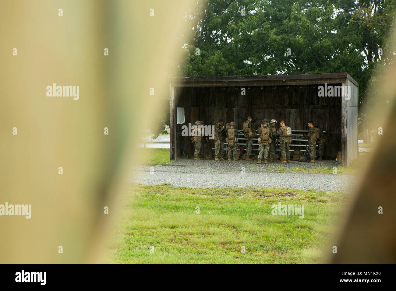 What is DFT shooting in photography What is DFT shooting in photography