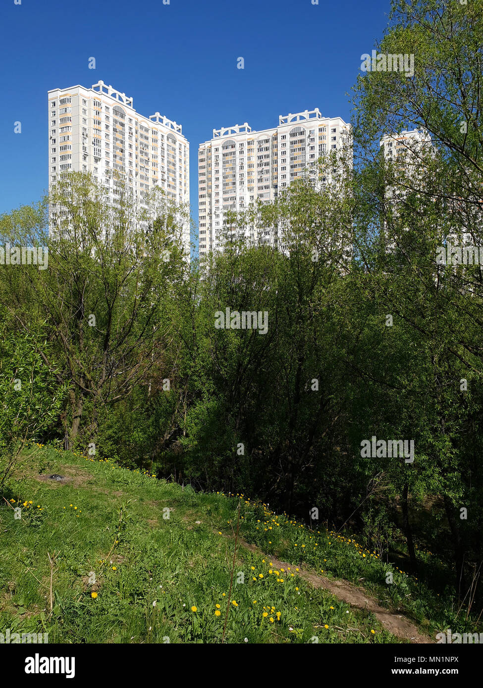 Clean Place Ecologically clean place hi-res stock photography and images - Alamy