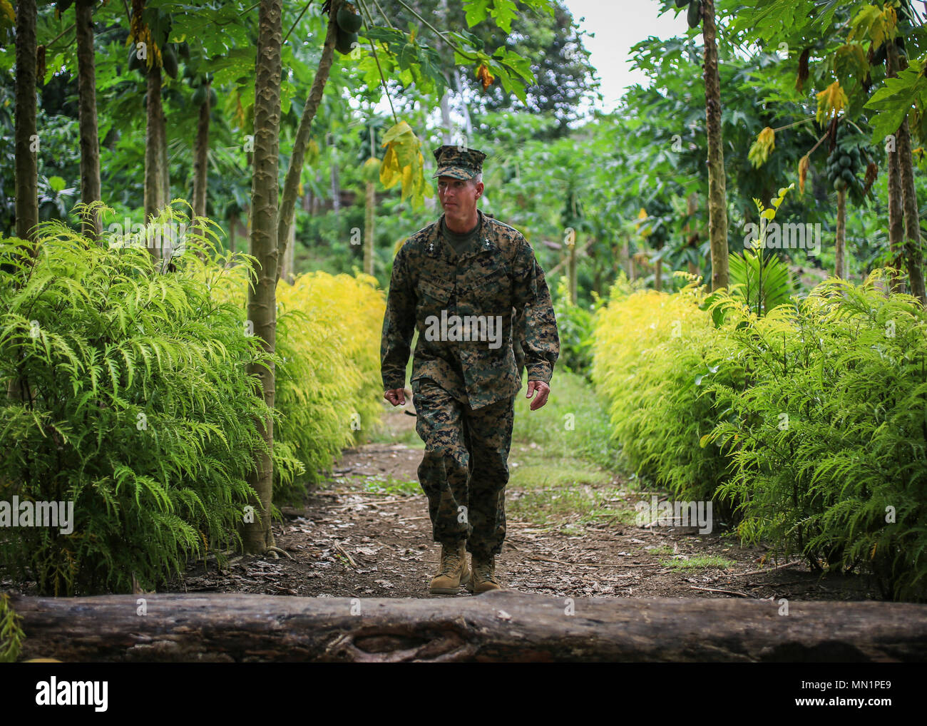 Battle of bloody ridge 1942 hi-res stock photography and images - Alamy