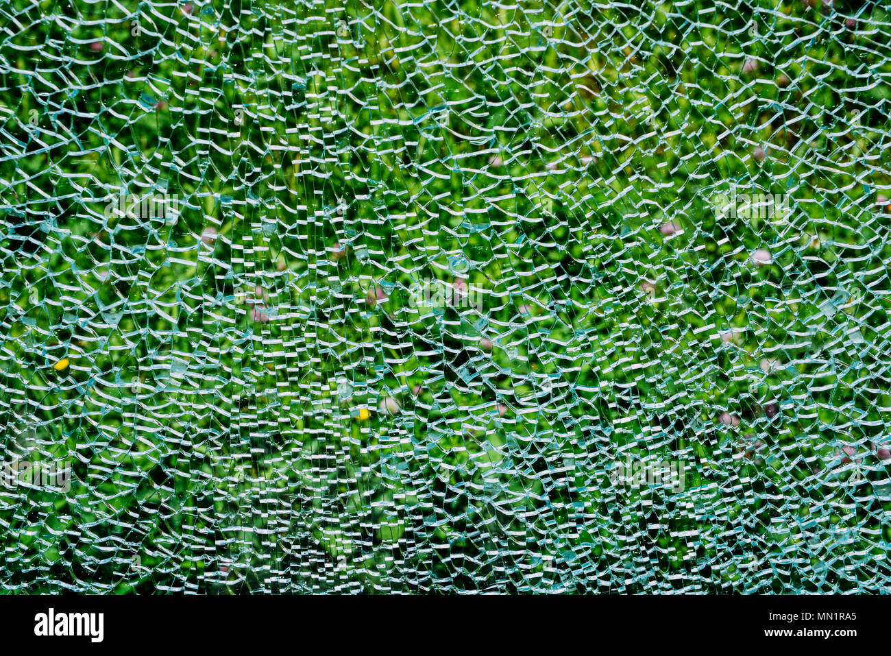 Broken windshield glass on a green background. Stock Photo