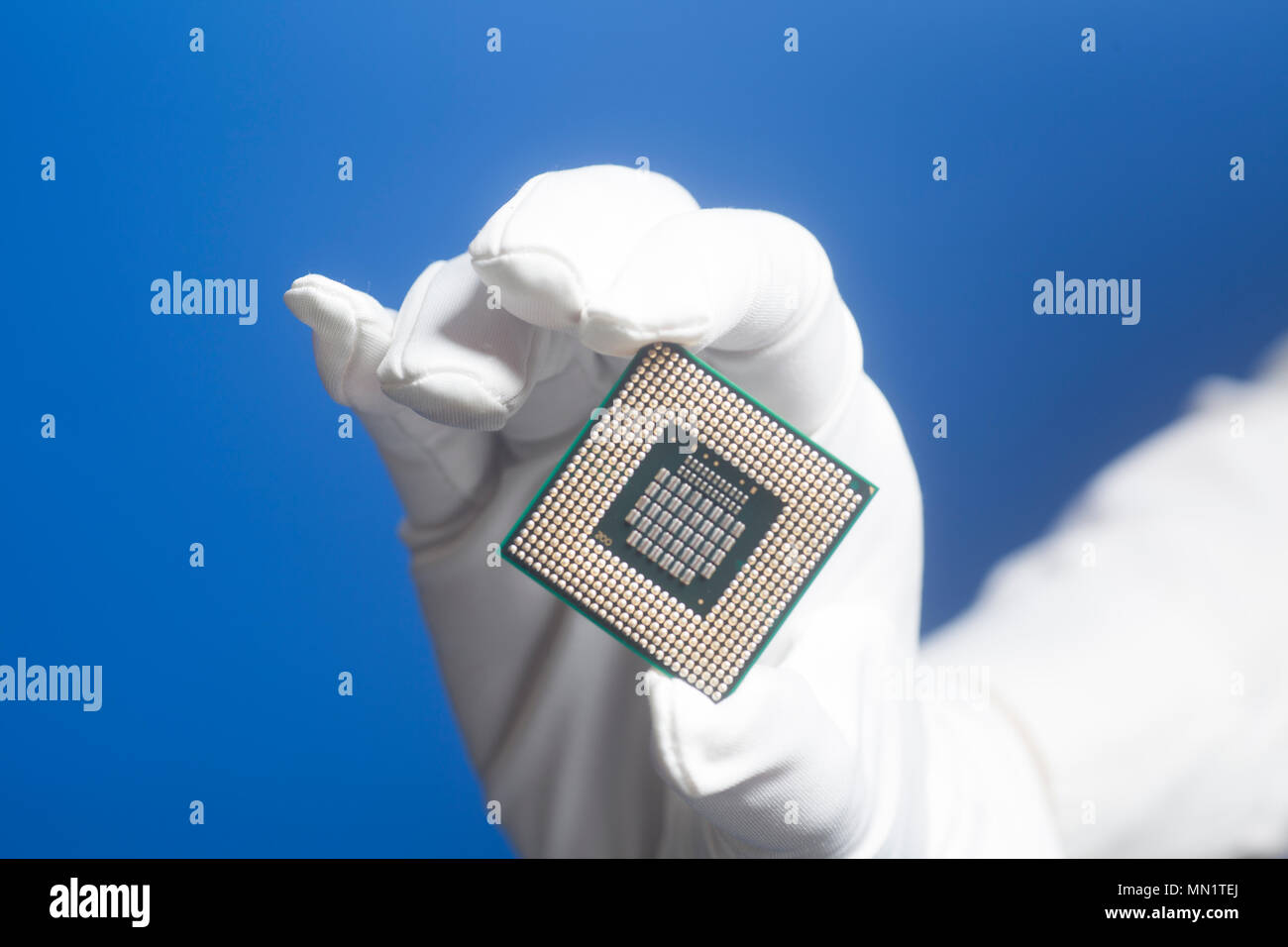 Hand in white glove holding a CPU computer processor microchip on blue background Stock Photo