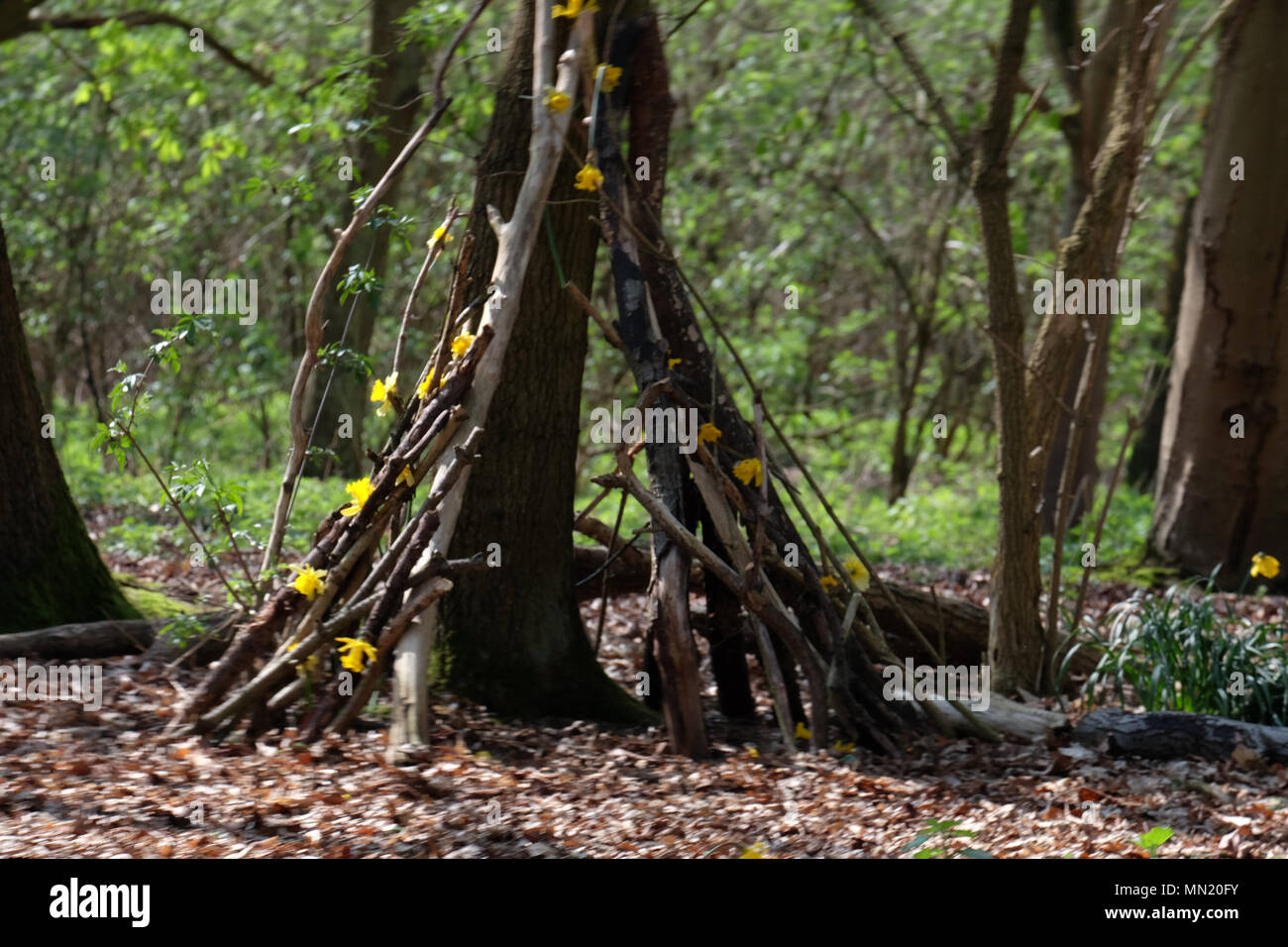 tent made from sticks and flower Stock Photo Alamy