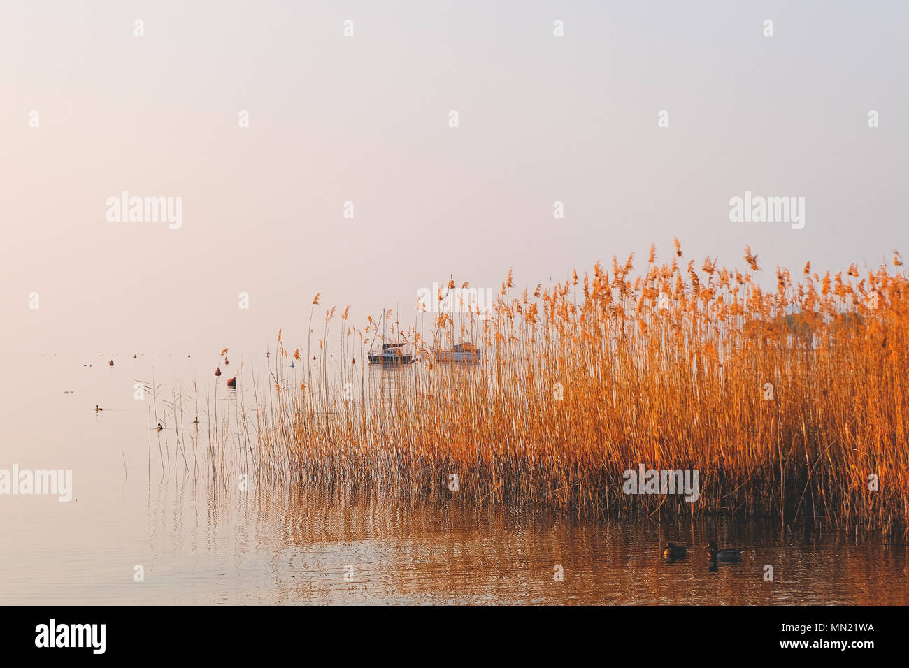 garda lake in winter Stock Photo