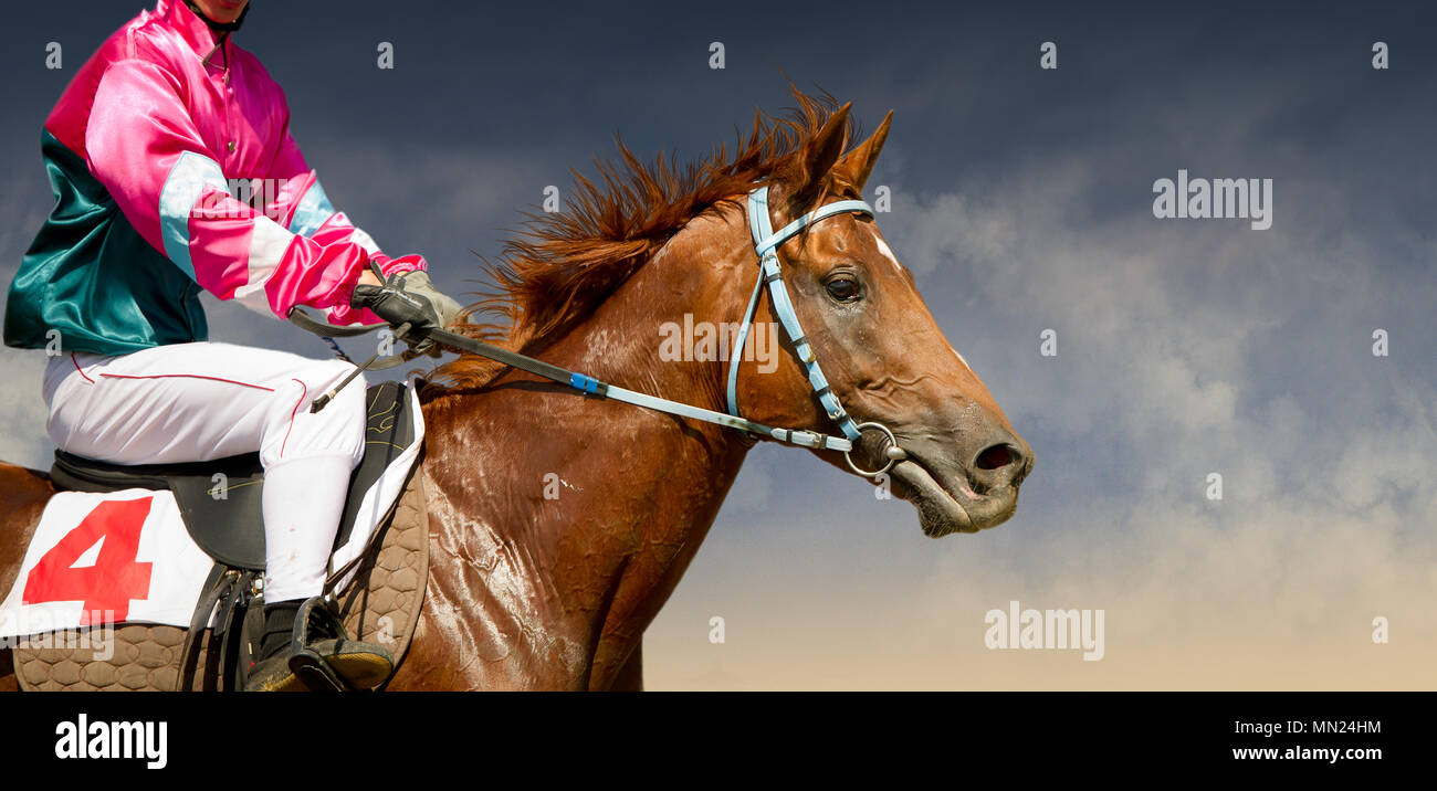 Jokey on a thoroughbred horse runs isolated on color background Stock Photo
