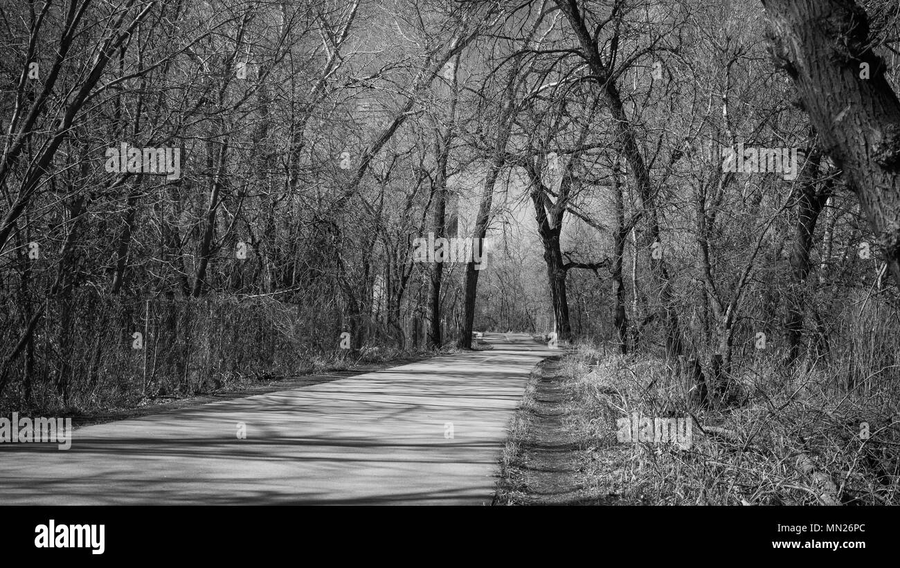 Waking path surrounded by trees in the early spring east of Golden, Colorado, USA Stock Photo