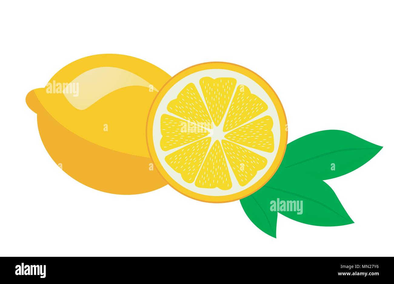 Fresh lemon fruits vector illustrations Stock Vector
