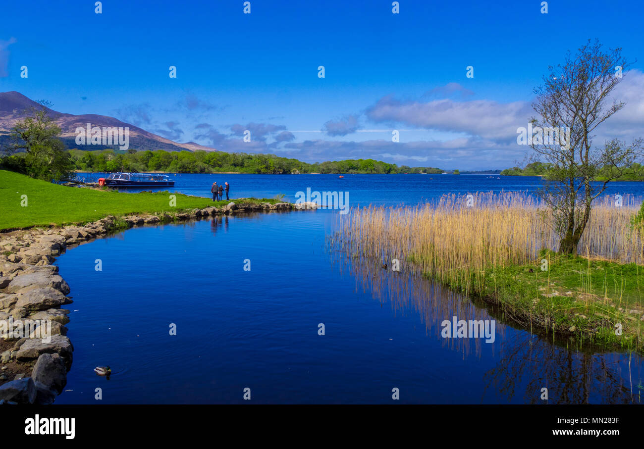 Awesome Nature And Blue Water At Killarney National Park In Dingle