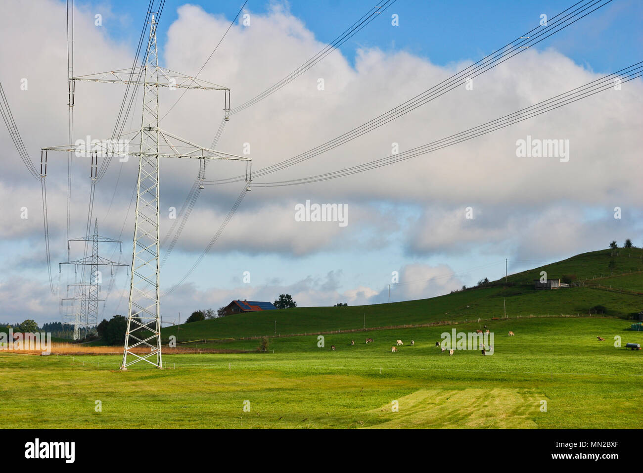 High voltage pylons on a sunny meadow in bavaria Stock Photo - Alamy