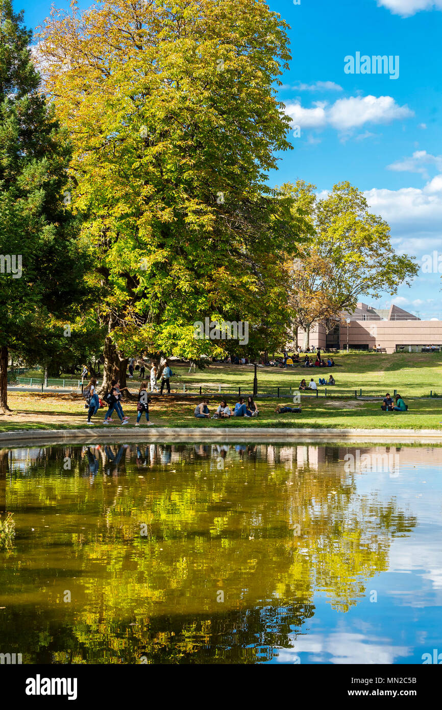 Esplanade greenery hires stock photography and images Alamy