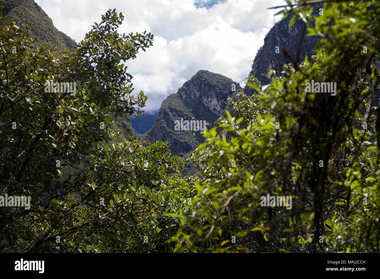 Detail of the Machu Picchu Inca citadel in Peru Stock Photo - Alamy