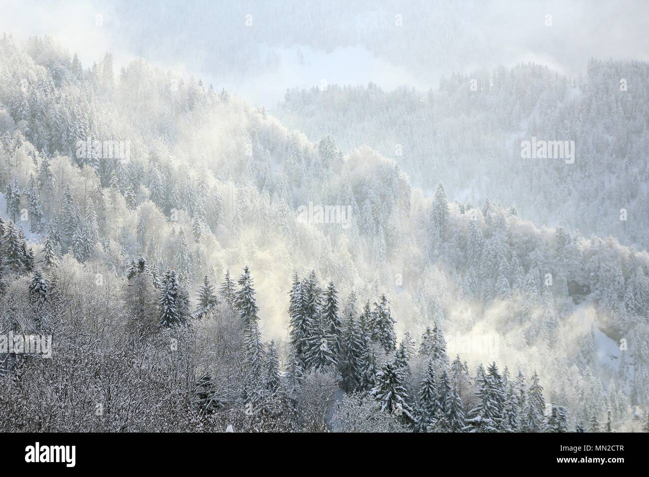Fog climbing up mountain hi-res stock photography and images - Alamy