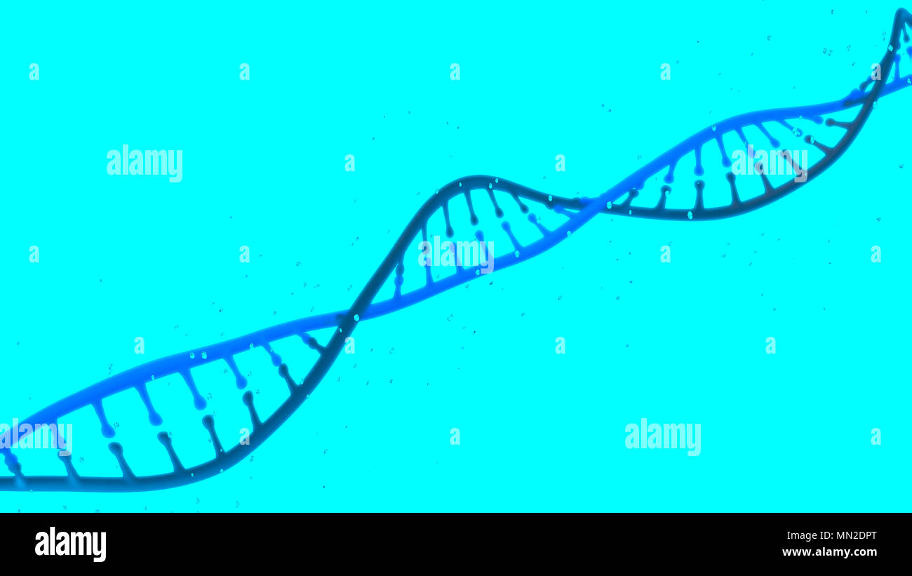 DNA, Deoxyribonucleic acid is a thread-like chain of nucleotides carrying the genetic instructions of all known living organisms. DNA helix Stock Photo