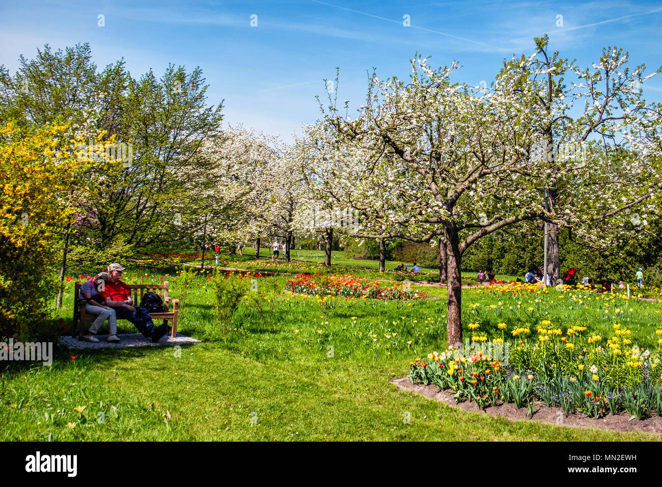 Britzer Garten, Neukölln, Berlin, Germany. 2018. Spring garden with