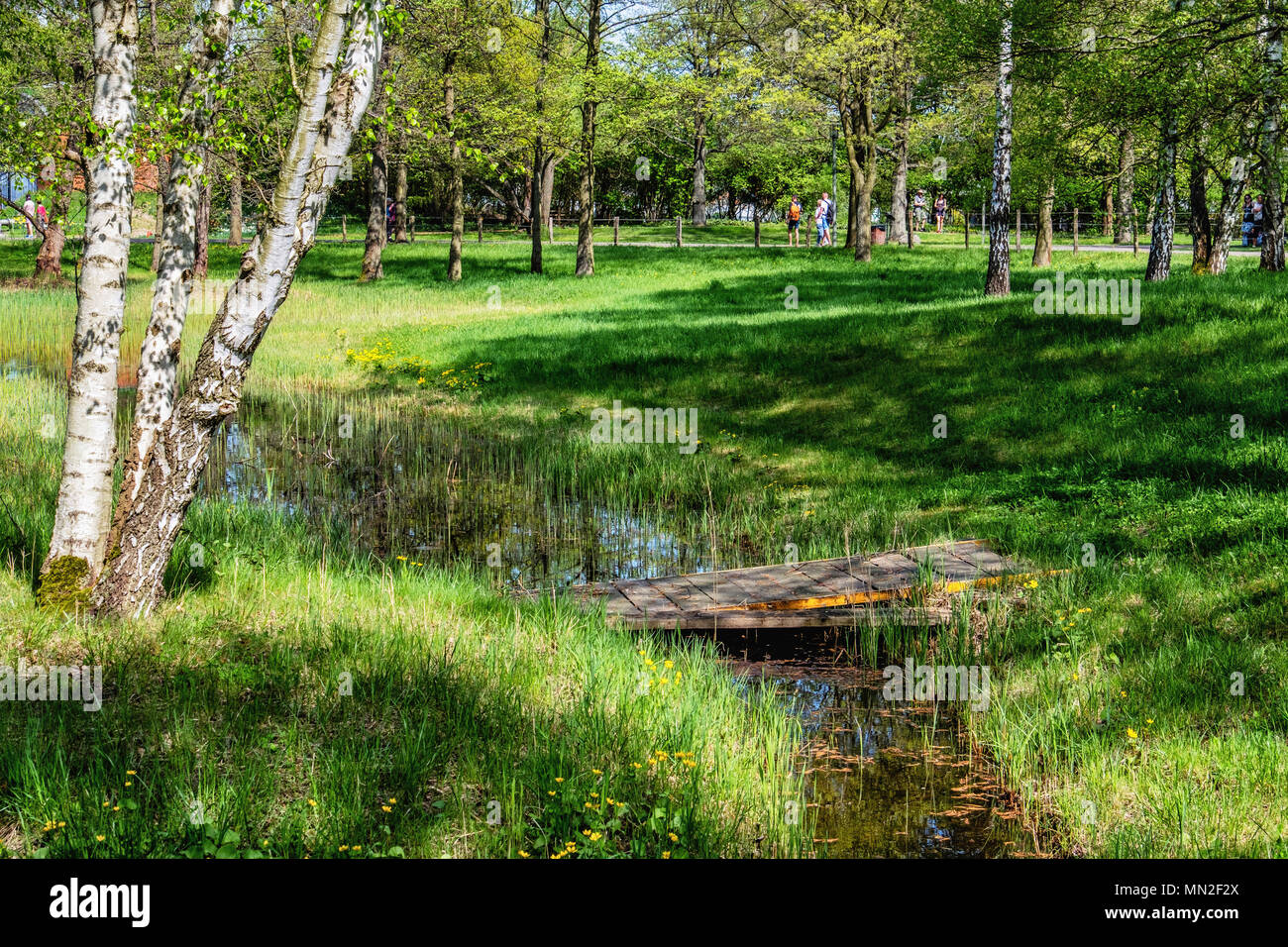 Britzer Garten, Neukölln, Berlin, Germany. 2018.Garden view of stream