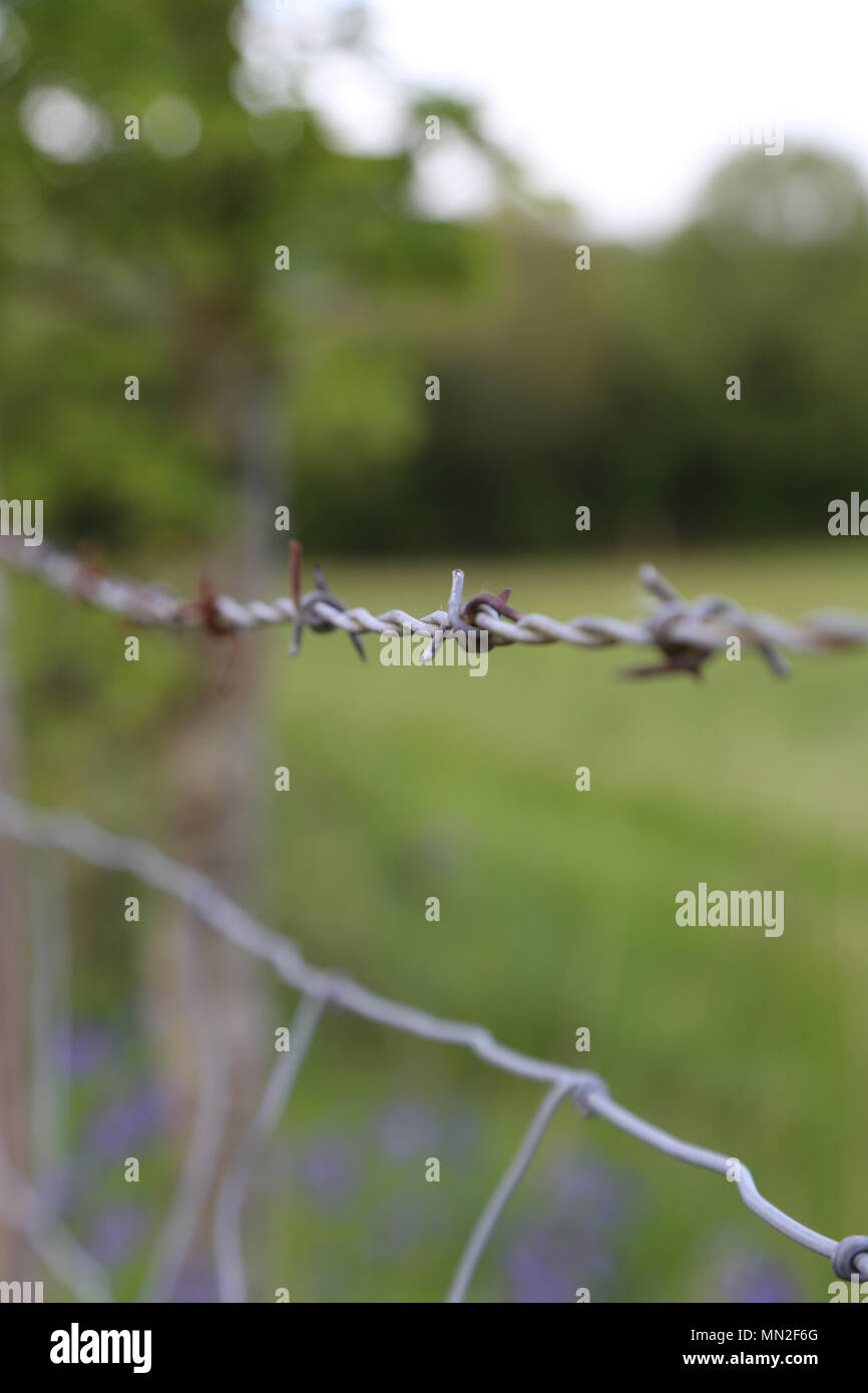 Closeup of barbed wire fence with field in background Stock Photo