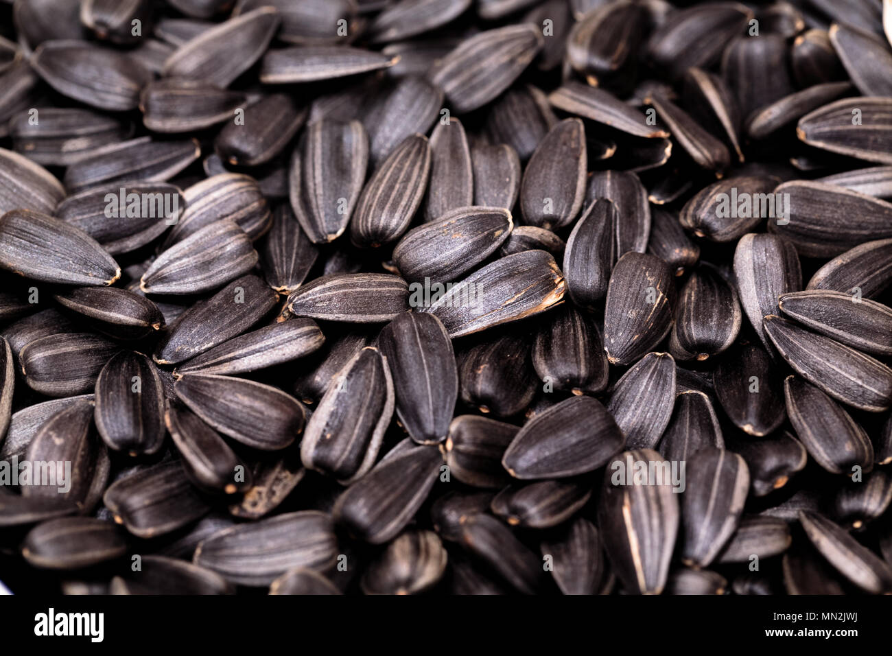 black sun flower seeds photo Stock Photo - Alamy