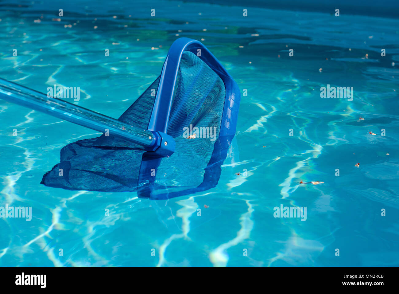 Swimming pool with blue ripple water during clean maintenance. Pool net