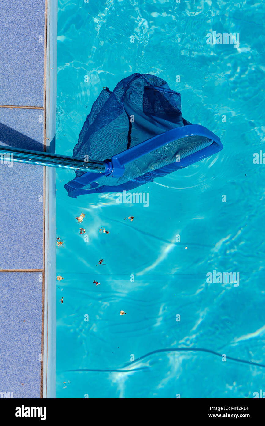 Swimming pool blue cleaning tool and water with ripples. Trash in pool ...