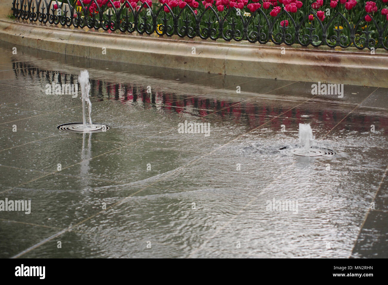 Leicester Square, London, water feature fountains with a back drop of a raised tulip bed Stock Photo