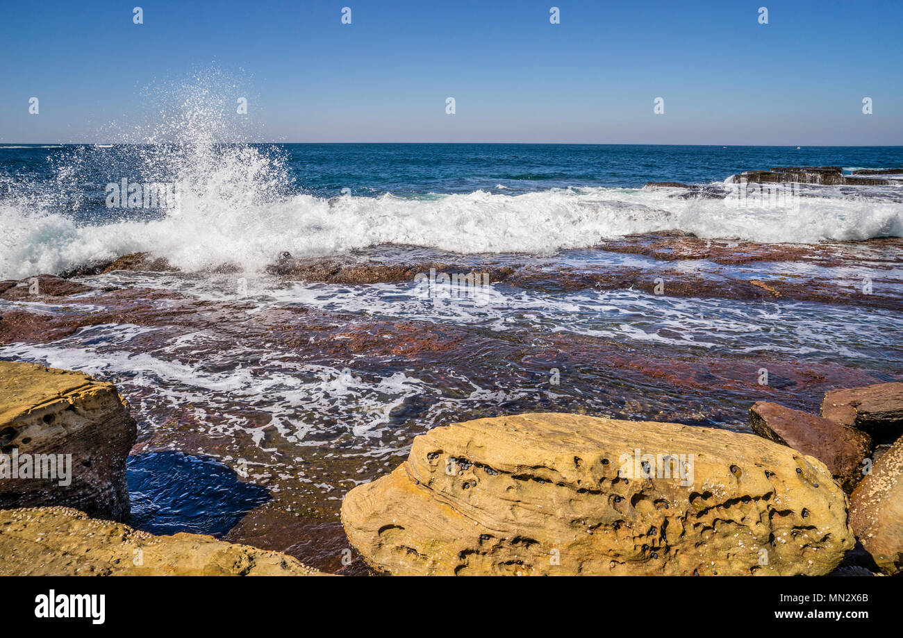 intertidal rock platform at Bouddi Point, Bouddi National Park, Central Coast, New South Wales, Australia Stock Photo