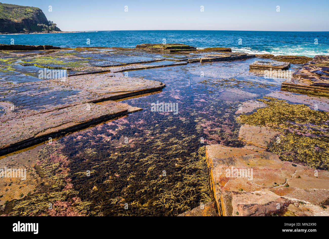 intertidal rock platform at Bouddi Point, Bouddi National Park, Central