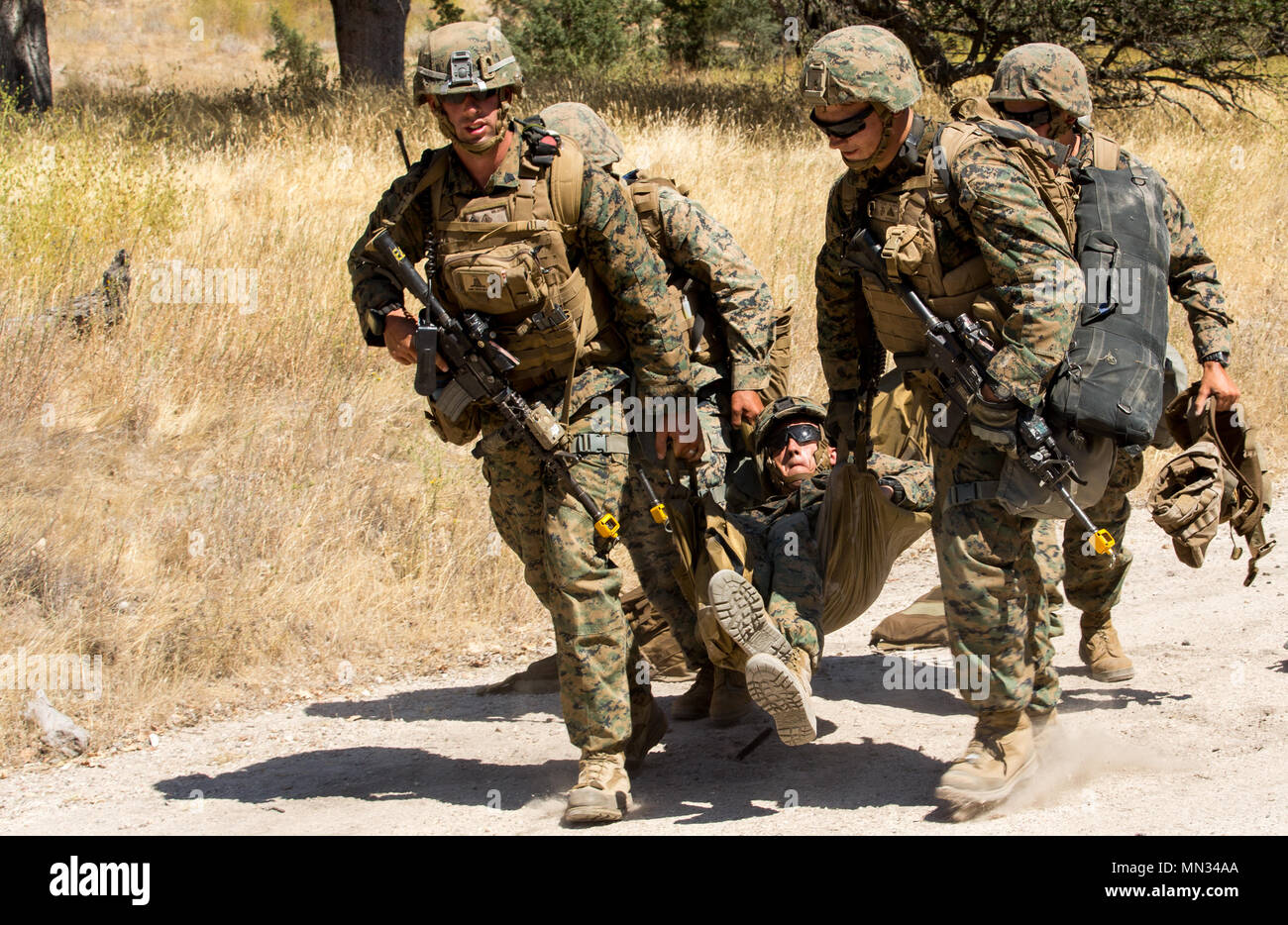 u s marines with 1st combat engineer battalion ceb carry a usmc combat engineer