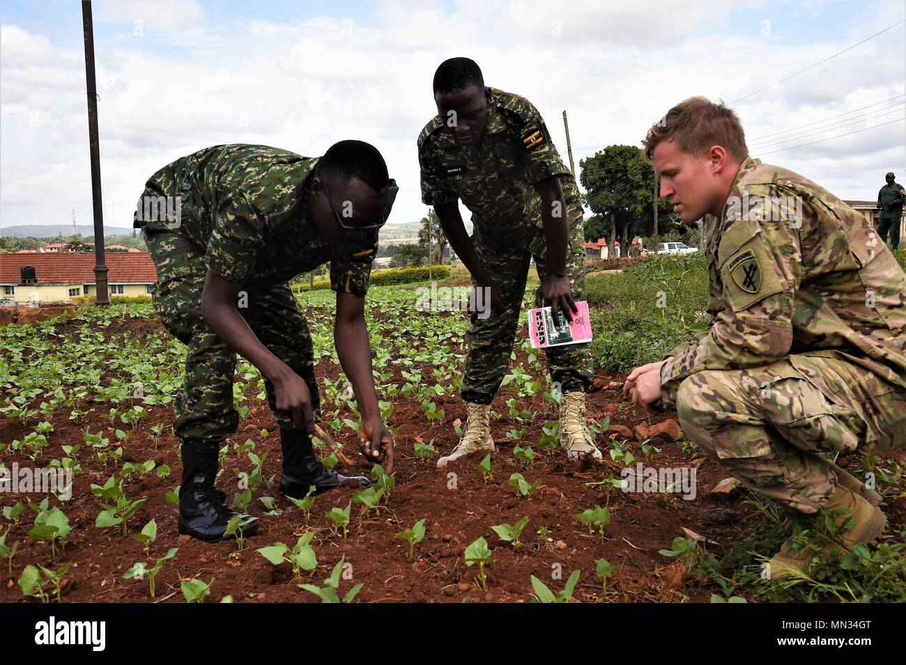 U.S. Army Soldiers of the 346th Tactical Psychological Operations