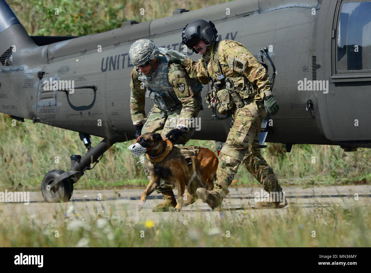 Ltas High Resolution Stock Photography and Images Alamy