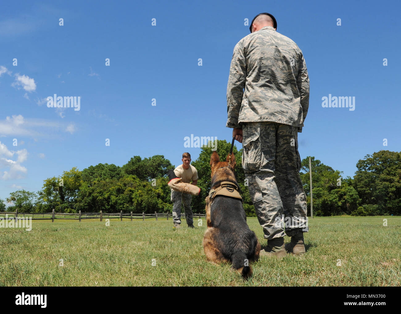 U.S. Air Force Staff Sgt. Jeffrie Kennedy, 633rd Security Forces Squadron military working dog handler prepares to instruct his partner, Toni, 633rd SFS MWD, at Joint Base Langley-Eustis, Va., Aug. 4, 2017. On a daily basis, Kennedy and Toni work together to keep JBLE safe. Their hard work and dedication led them to place first in the “Iron Dawg” competition hosted by Naval Air Station Oceana, Va., July 31, 2017. (U.S. Air Force photo/Airman 1st Class Anthony Nin Leclerec) Stock Photo