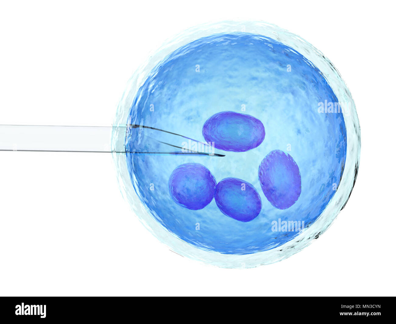 3d rendering ovum with needle for artificial insemination or in vitro fertilization Stock Photo