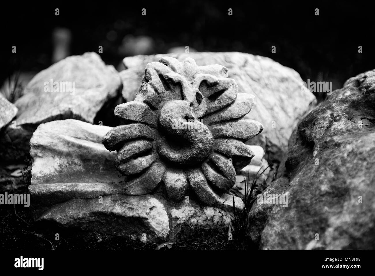 stone art in the ruins of ancient roman amphitheater Stock Photo Alamy