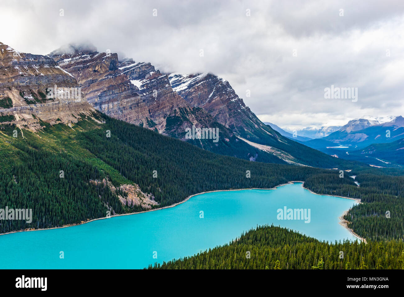 Peyto Lake of Banff National Park in Canada Stock Photo - Alamy