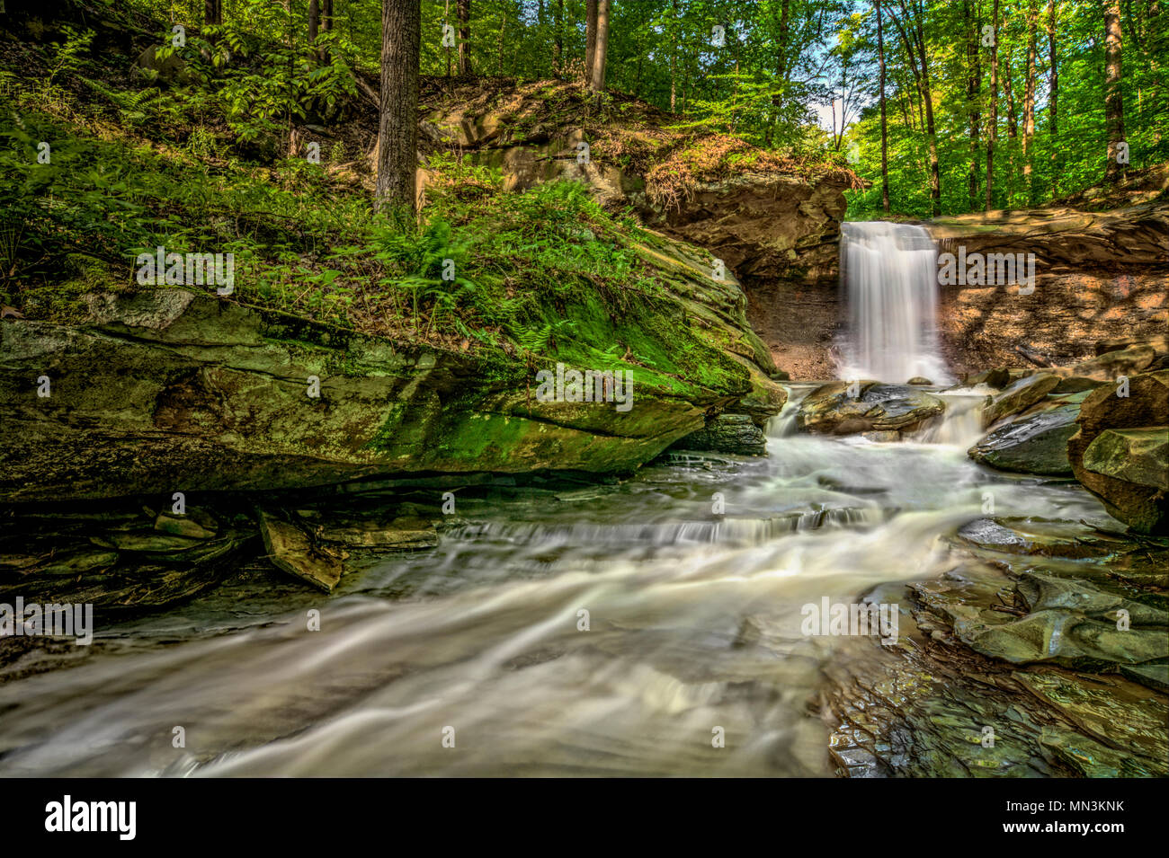 Blue Hen Falls in Cuyahoga Valley National Park Ohio.  A gorgeous fifteen foot waterfall seen here in late spring. Stock Photo