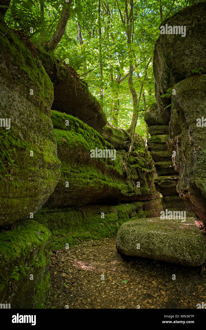 Some of the huge moss and lichen covered boulders at Nelson Kennedy