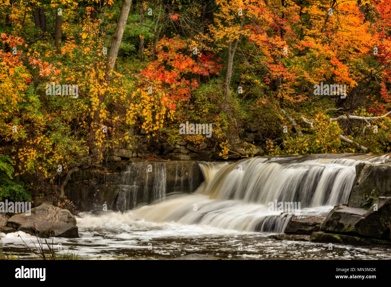 Berea Falls Ohio during peak fall colors. This cascading waterfall