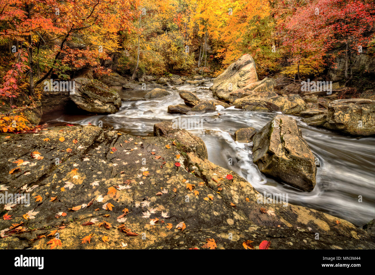 Berea Falls Ohio during peak fall colors. This cascading waterfall