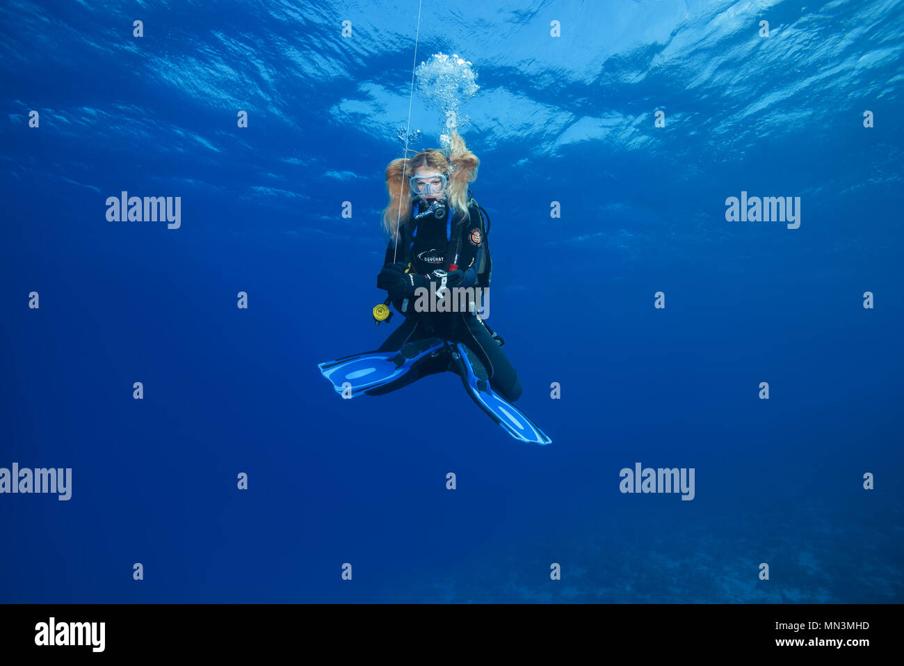 Female scuba diver hung in the lotus position and waits passes  decompression time on safety stop in the blue water Stock Photo - Alamy