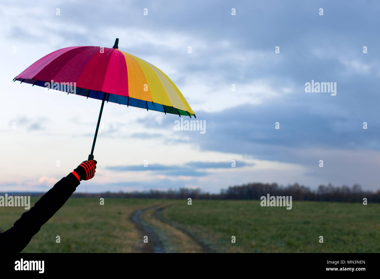 Hand holding hold umbrella hi-res stock photography and images - Alamy